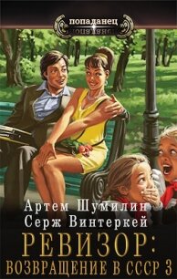 Ревизор: возвращение в СССР 3 (СИ) - Винтеркей Серж (читаем книги бесплатно .txt, .fb2) 📗