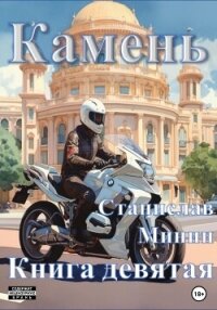 Камень. Книга девятая - Минин Станислав (книга жизни txt, fb2) 📗