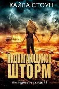 Надвигающийся шторм (ЛП) - Стоун Кайла (бесплатные книги онлайн без регистрации TXT, FB2) 📗