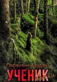 Ученик. Книга вторая - Первухин Андрей Евгеньевич (книги онлайн бесплатно серия TXT, FB2) 📗