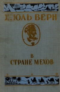 В стране мехов (иллюстрации Риу Эдуарда) - Верн Жюль Габриэль (книги читать бесплатно без регистрации полные .TXT, .FB2) 📗