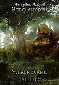 Эльфийский форпост (СИ) - Волкидир Андрей Олегович (книги полностью .txt, .fb2) 📗