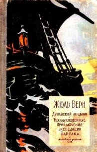 Дунайский лоцман. Необыкновенные приключения экспедиции Барсака - Верн Жюль Габриэль (серии книг читать бесплатно txt, fb2) 📗