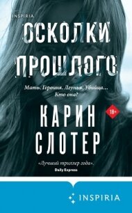 Осколки прошлого - Слотер Карин (мир бесплатных книг .txt, .fb2) 📗