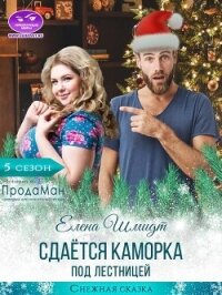 Сдаётся каморка под лестницей (СИ) - Шмидт Елена (книги без сокращений .TXT, .FB2) 📗