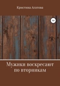 Мужики воскресают по вторникам - Кристина Агатова (читать книги без .TXT, .FB2) 📗