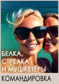 Белка, Стрелка и мушкетёры. Командировка (СИ) - Босс Игорь (мир книг TXT, FB2) 📗