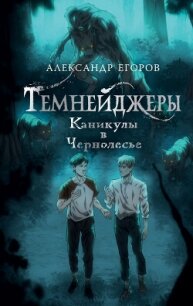 Каникулы в Чернолесье - Егоров Александр Альбертович (книги онлайн без регистрации полностью TXT, FB2) 📗