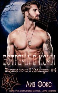 Встреча в ночи (ЛП) - Фокс Лиз (читаемые книги читать .TXT, .FB2) 📗