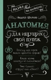 Анатомия для ищущих свой пупок - Шляхов Андрей Левонович (книги без регистрации бесплатно полностью .txt, .fb2) 📗