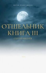 Отшельник Книга 3 (СИ) - Шкенев Сергей Николаевич (электронная книга .TXT, .FB2) 📗