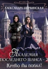 Академия Последнего Шанса – 2. Круто ты попал! - Шервинская Александра Юрьевна "Алекс" (читать книги онлайн без сокращений .TXT, .FB2) 📗