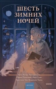 Шесть зимних ночей - Торин Владимир (читаемые книги читать онлайн бесплатно полные .TXT, .FB2) 📗