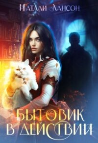 Бытовик в действии (СИ) - Лансон Натали (книги полностью бесплатно .txt, .fb2) 📗