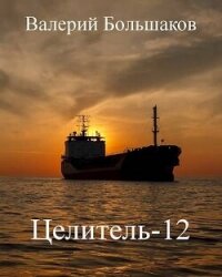 Целитель 12 (СИ) - Большаков Валерий Петрович (читаем книги txt, fb2) 📗