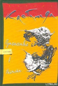 Путешествие в Икстлан - Кастанеда Карлос (читать книги онлайн регистрации .TXT) 📗