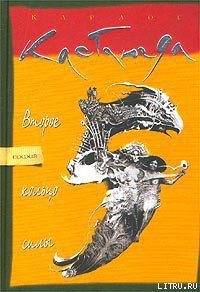 Второе кольцо силы - Кастанеда Карлос (хорошие книги бесплатные полностью txt) 📗