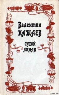 Кубик - Катаев Валентин Петрович (книги онлайн полные .TXT) 📗