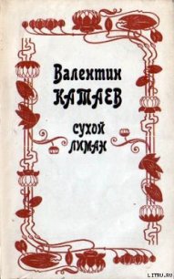 Обоюдный старичок - Катаев Валентин Петрович (библиотека электронных книг TXT) 📗