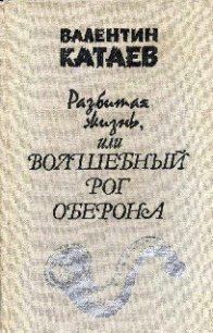 Разбитая жизнь, или Волшебный рог Оберона - Катаев Валентин Петрович (книги бесплатно читать без .TXT) 📗