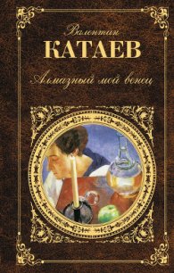 Святой колодец - Катаев Валентин Петрович (читать книги онлайн бесплатно полностью TXT) 📗