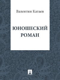 Юношеский роман - Катаев Валентин Петрович (читать книги без регистрации TXT) 📗