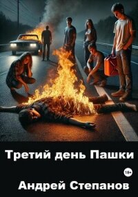 Третий день Пашки - Степанов Андрей (книги бесплатно полные версии TXT, FB2) 📗