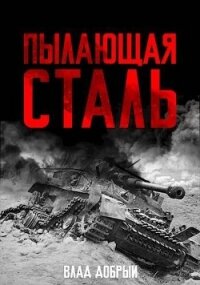 Пылающая сталь (СИ) - Добрый Владислав (читать книги без сокращений txt, fb2) 📗