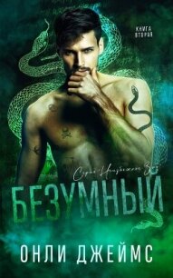 Безумный - Джеймс Онли (книги бесплатно без регистрации txt, fb2) 📗