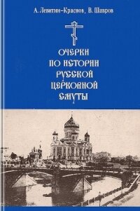 Очерки по истории русской церковной смуты - Краснов-Левитин Анатолий Эммануилович (читаем бесплатно книги полностью TXT, FB2) 📗