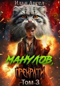 Манулов, прекрати! Том 3 - Ангел Илья (лучшие книги онлайн txt, fb2) 📗