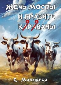 Жечь мосты и грабить корованы (СИ) - Михнегер Егор (книги онлайн полные .TXT, .FB2) 📗