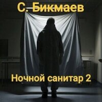 Ночной санитар 2 (СИ) - Бикмаев Сергей (прочитать книгу txt, fb2) 📗