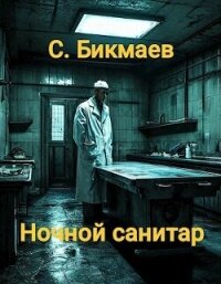 Ночной санитар (СИ) - Бикмаев Сергей (книги онлайн без регистрации TXT, FB2) 📗