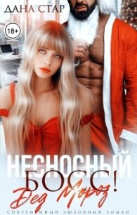 Несносный босс Дед Мороз (СИ) - Стар Дана (бесплатные серии книг .TXT, .FB2) 📗