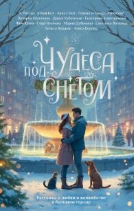 Чудеса под снегом. Рассказы о любви и волшебстве в большом городе - Шаталова Валерия (книги регистрация онлайн бесплатно TXT, FB2) 📗