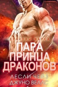 Пара принца драконов (ЛП) - Вэллс Джуно (читать книги онлайн полностью без регистрации .TXT, .FB2) 📗