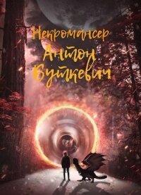 Некромансер (СИ) - Буткевич Антон (читаем полную версию книг бесплатно .txt, .fb2) 📗