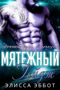 Бунтарь Гейдж (ЛП) - Эббот Элисса (читать книги без .txt, .fb2) 📗