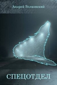 Спецотдел 3 (СИ) - Волковский Андрей (мир бесплатных книг TXT, FB2) 📗