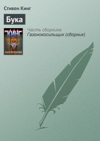 И пришел бука - Кинг Стивен (книги онлайн читать бесплатно TXT) 📗