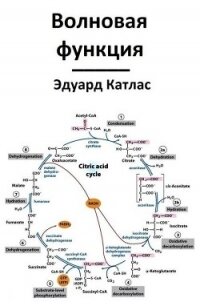 Волновая функция (СИ) - Катлас Эдуард (электронная книга txt, fb2) 📗