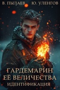 Идентификация (СИ) - Пылаев Валерий (читать бесплатно полные книги .txt, .fb2) 📗