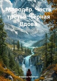 Мародёр. Часть третья. Чёрная Вдова - Поселягин Владимир Геннадьевич (лучшие книги читать онлайн .txt, .fb2) 📗