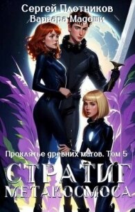 Стратиг метакосмоса (СИ) - Плотников Сергей Александрович (читать книги онлайн бесплатно полностью без .txt, .fb2) 📗