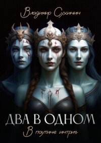 Два в одном. В паутине интриг - Сухинин Владимир Александрович "Владимир Черный-Седой" (читаем книги бесплатно .txt, .fb2) 📗