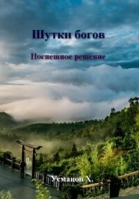 Шутки богов. Поспешное решение - Усманов Хайдарали (книги онлайн полные версии бесплатно TXT, FB2) 📗