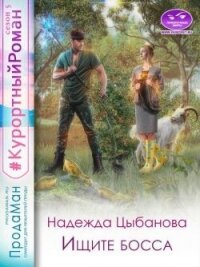 Ищите босса (СИ) - Цыбанова Надежда (книги бесплатно без регистрации .txt, .fb2) 📗