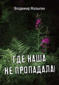 Где наша не пропадала. Трилогия (СИ) - Малыгин Владимир (книги бесплатно без регистрации .TXT, .FB2) 📗