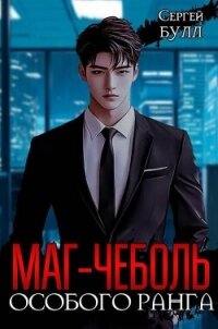 Маг-чеболь особого ранга (СИ) - Булл Сергей (мир бесплатных книг .TXT, .FB2) 📗